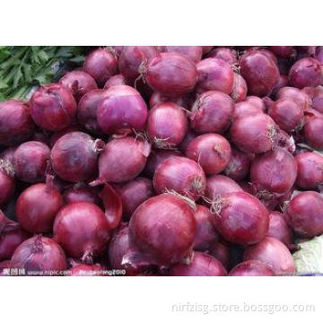 40mm Natural Fresh Onion 15kg / Mesh Bag , Wonderful Flavor